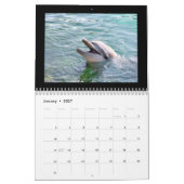 Mural Calendrier des dauphins 2010 (Jan 2027)