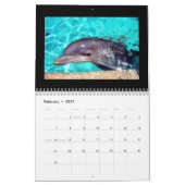 Mural Calendrier des dauphins 2010 (Feb 2027)
