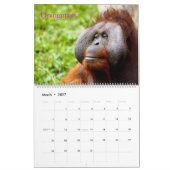 Mural Calendrier des espèces en péril de la Terre (Mar 2027)