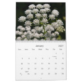 Mural Calendrier des fleurs 2012 (Jan 2027)