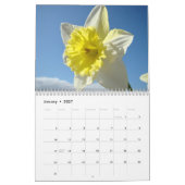 Mural Calendrier des fleurs de jonquille jaune brillant (Jan 2027)