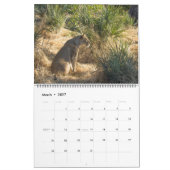 MURAL CALENDRIER DES GRANDS FÉLINS ET DE LEURS PETITS (Mar 2027)