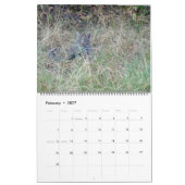 MURAL CALENDRIER DES GRANDS FÉLINS ET DE LEURS PETITS (Feb 2027)