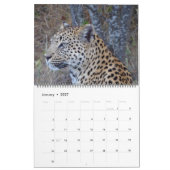 MURAL CALENDRIER DES GRANDS FÉLINS ET DE LEURS PETITS (Jan 2027)