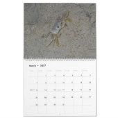 Mural Calendrier des grands murs de l'île Pawleys (conce (Mar 2027)