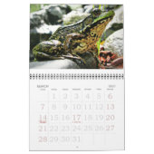 Mural Calendrier des grenouilles 2015 (Mar 2027)