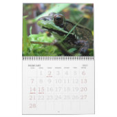 Mural Calendrier des grenouilles 2015 (Feb 2027)