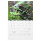 Mural Calendrier des grenouilles 2015 (Feb 2026)