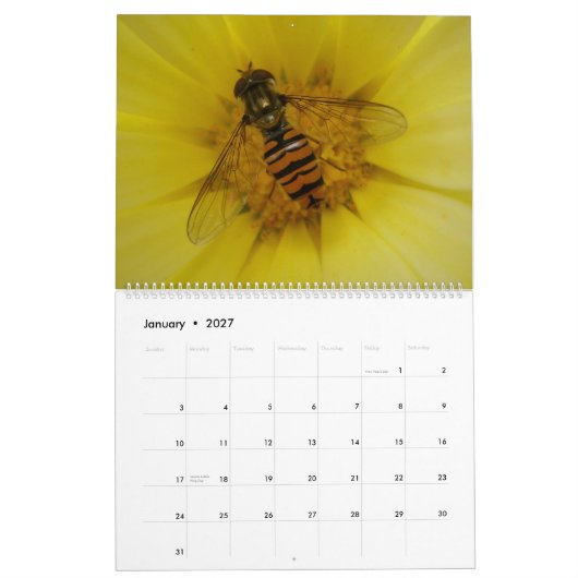 Mural Calendrier des insectes 2015 (Jan 2027)