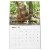 Mural Calendrier des leçons sur la faune de la Jungle (Feb 2027)