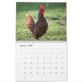 Mural Calendrier des listes (Jan 2027)