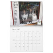 Mural Calendrier des mascottes 2012 (Mar 2027)
