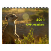 Mural Calendrier des Meerkats 2011 KMP (Protection)