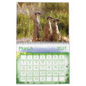 Mural Calendrier des Meerkats 2011 KMP (Mar 2027)