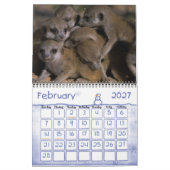 Mural Calendrier des Meerkats 2011 KMP (Feb 2027)