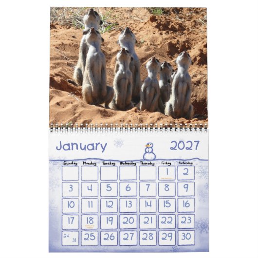 Mural Calendrier des Meerkats 2011 KMP (Jan 2027)