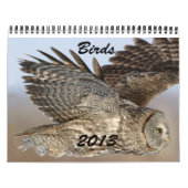 Mural Calendrier des oiseaux 2013 (Protection)