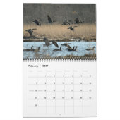 Mural Calendrier des oiseaux aquatiques 2011 (Feb 2027)