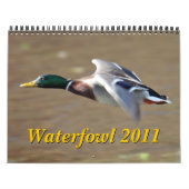 Mural Calendrier des oiseaux aquatiques 2011 (Protection)
