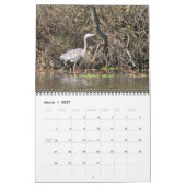 Mural Calendrier des oiseaux aquatiques 2011 (Mar 2027)