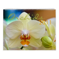 Calendrier des orchidées 2011