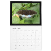 Mural Calendrier des papillons 2015 (Jan 2027)