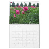 Mural Calendrier des pivoines 2017 (Jan 2027)