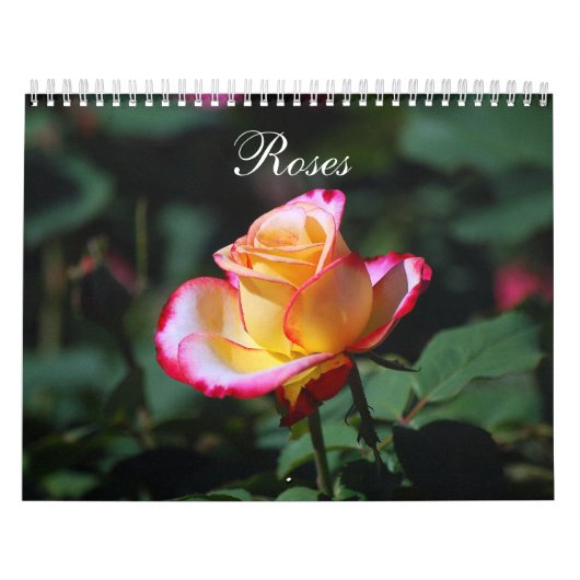 Mural Calendrier des roses 2012 (Protection)