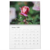 Mural Calendrier des roses 2012 (Jan 2027)