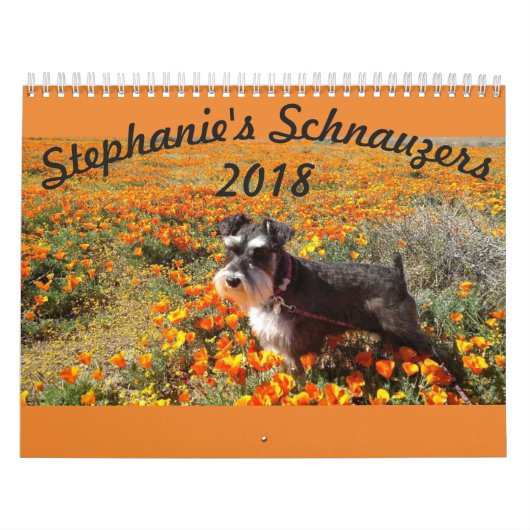 Mural Calendrier des Schnauzers 2018 de Stephanies (Protection)