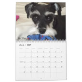 Mural Calendrier des Schnauzers 2018 de Stephanies (Mar 2027)