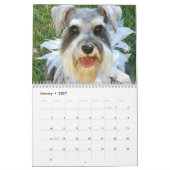 Mural Calendrier des Schnauzers 2018 de Stephanies (Jan 2027)