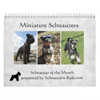 Mural Calendrier des Schnauzers nains