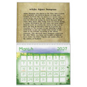 Mural Calendrier des sorts et sorcières (Mar 2027)