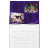 Mural Calendrier des souvenirs de Curaçao (Jan 2027)