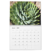 Mural Calendrier des Succulents 2011 (Mar 2027)