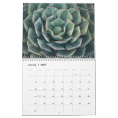 Mural Calendrier des Succulents 2011 (Jan 2027)