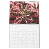 Mural Calendrier des Succulents 2011 (Feb 2027)