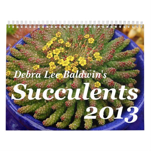 Mural Calendrier des Succulents 2013 de Debra Lee Baldwi (Protection)
