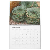 Mural Calendrier des Succulents 2013 de Debra Lee Baldwi (Jan 2026)