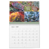 Mural Calendrier des Succulents 2014 par Debra Lee (Mar 2027)