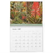 Mural Calendrier des Succulents 2014 par Debra Lee (Jan 2027)