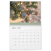 Mural Calendrier des Succulents 2014 par Debra Lee (Feb 2027)