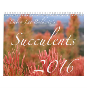 Mural Calendrier des Succulents 2016 par Debra Lee