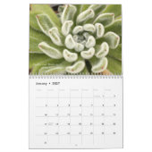 Mural Calendrier des Succulents 2016 par Debra Lee (Jan 2027)