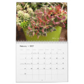 Mural Calendrier des Succulents 2018 par Debra Lee (Feb 2027)