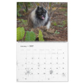 Mural Calendrier des touches de trompette (Jan 2027)