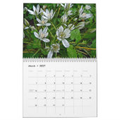 Mural Calendrier Digital Flower Garden #2 (Mar 2027)