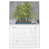 Mural Calendrier d'impression grand format 2023 - Bonsai (Jan 2027)