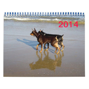 Mural Calendrier Doberman